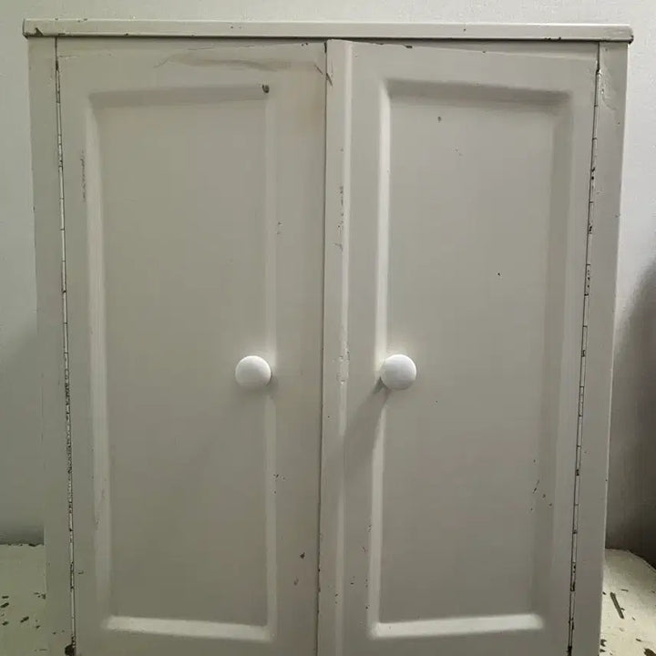 [BUNJANG] French Vintage Shabby Iron Cabinet / 프랑스 빈티지 쉐비 철제 캐비닛