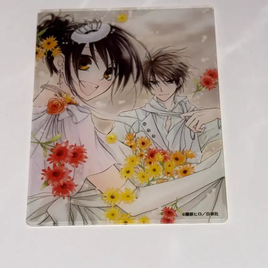[BUNJANG] Kaichou wa Maid-sama! Acrylic Card / 회장님은 메이드사마 아크릴 카드