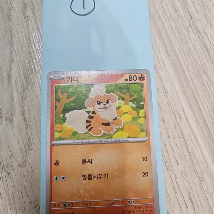 [BUNJANG] Pokemon Card Handmade Pack / 포켓몬카드(수제팩)