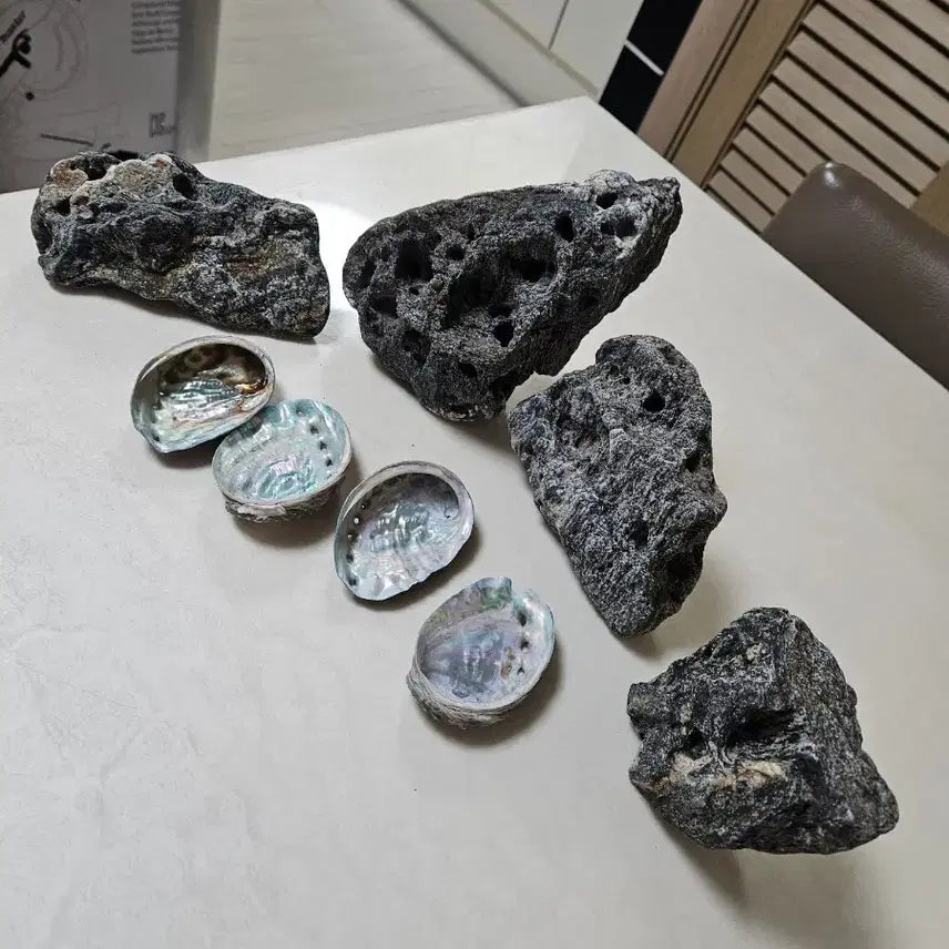 [BUNJANG] Natural Stones and Abalone Shells Set / 자연석 + 전복 껍데기