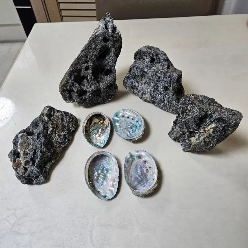 [BUNJANG] Natural Stones and Abalone Shells Set / 자연석 + 전복 껍데기