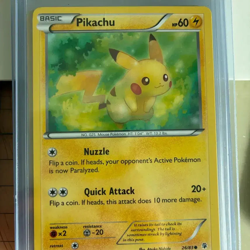 [BUNJANG] Pokemon XY Generations Pikachu North America / 2016 포켓몬 XY 제너레이션 피카츄 북미