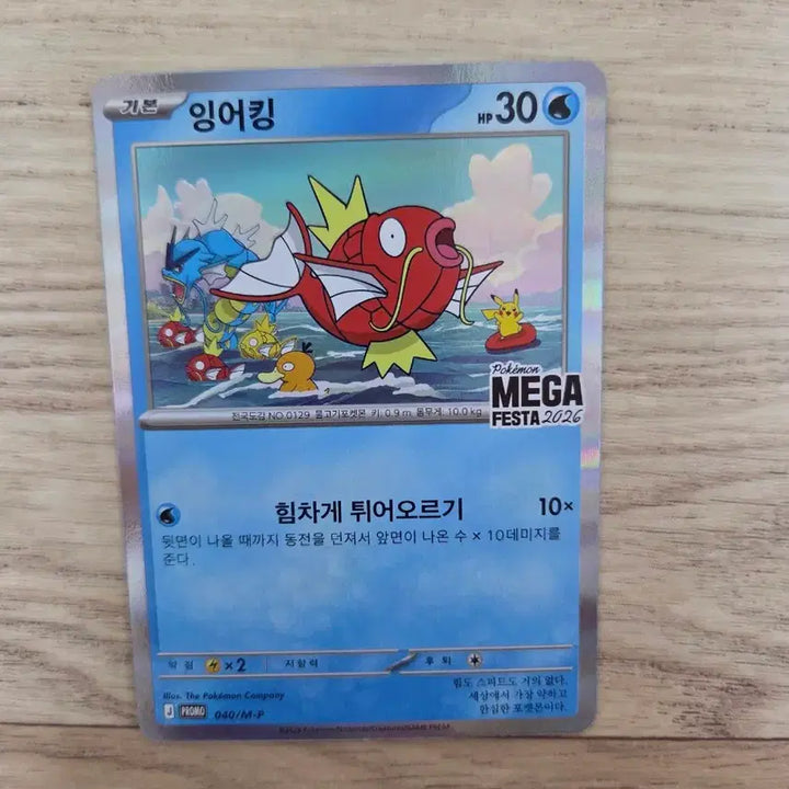 [BUNJANG] Gyarados Promo Card / 잉어킹 프로모