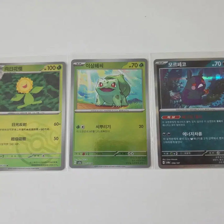 [BUNJANG] Pokemon Card Bulbasaur Morpeko Sunflower Set / 포켓몬 카드 이상해씨 모르페코 해바라기