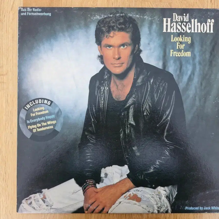 [BUNJANG] David Hasselhoff Looking For Freedom LP / [D] David Hasselhoff - Looking For Freedom LP