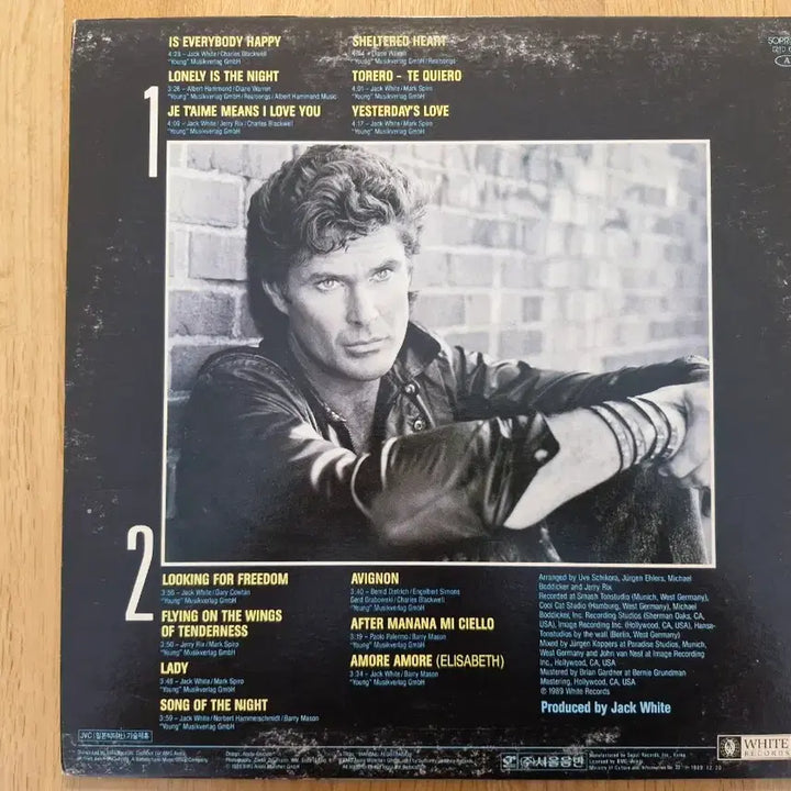 [BUNJANG] David Hasselhoff Looking For Freedom LP / [D] David Hasselhoff - Looking For Freedom LP