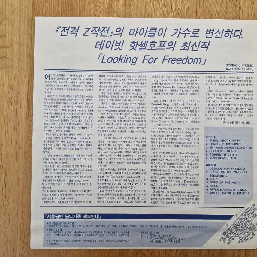 [BUNJANG] David Hasselhoff Looking For Freedom LP / [D] David Hasselhoff - Looking For Freedom LP