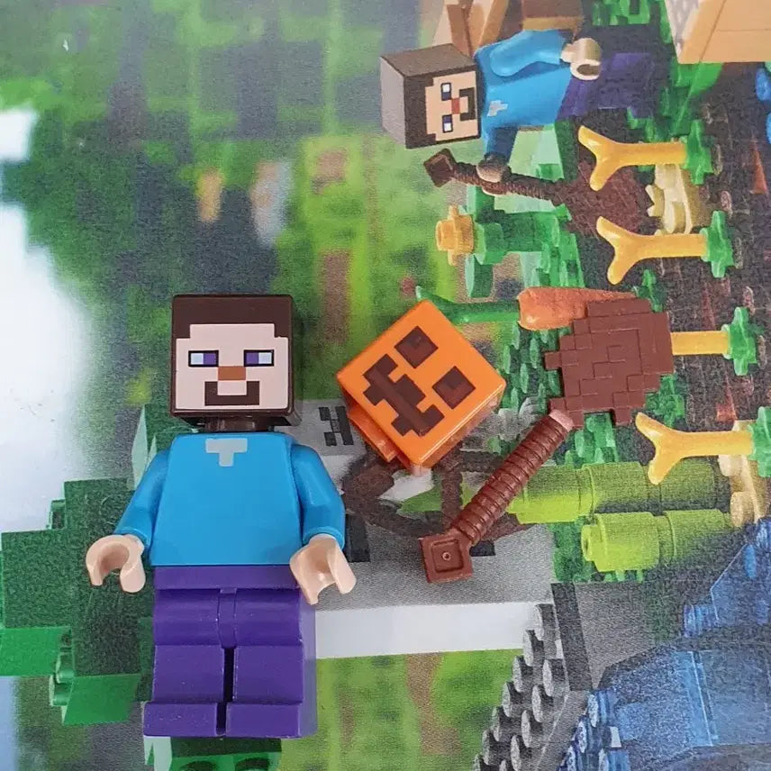 [BUNJANG] LEGO Minecraft 21114 The Farm / 레고 마인크래프트 21114 농장