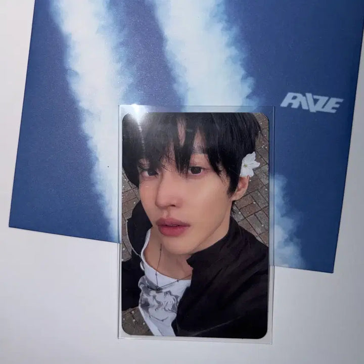 [BUNJANG] RIIZE Wonbin Cherry Blossom Photocard / 라이즈 원빈 포토북 dyd 벚꽃 포카 양도