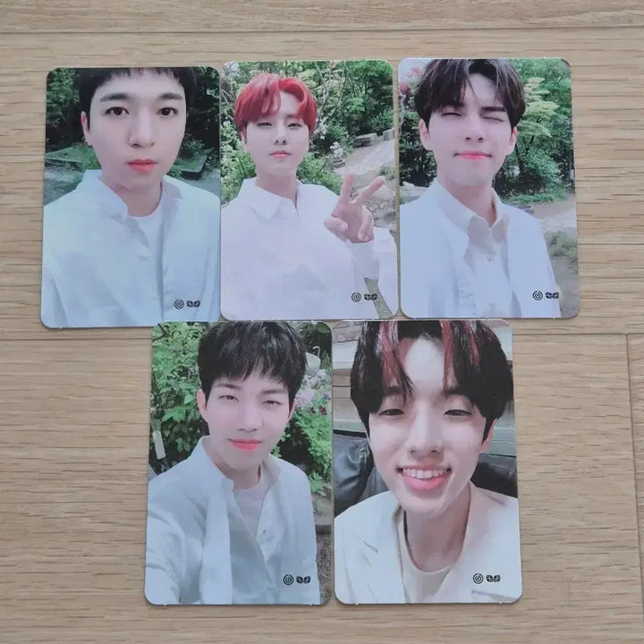 [BUNJANG] Day6 2nd You Made My Day 2019 Photocard Set / 데이식스 팬미팅 포토카드 세트 양도