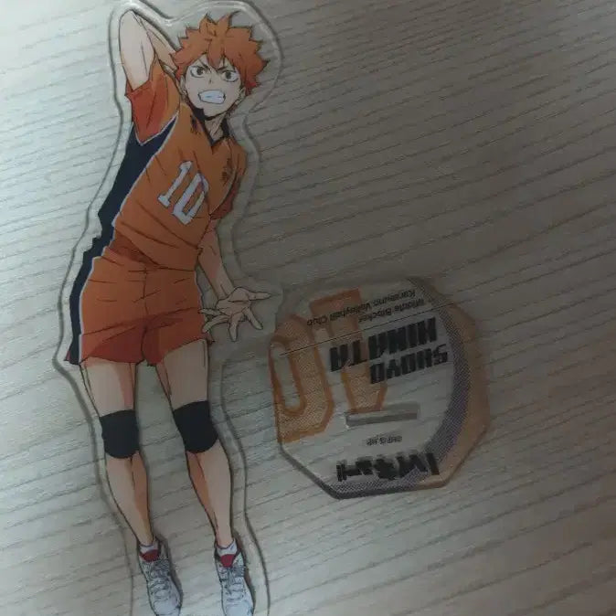 [BUNJANG] Haikyuu!! Shoyo Hinata Acrylic Standee Bundle / 하이큐 히나타 쇼요 아크릴
