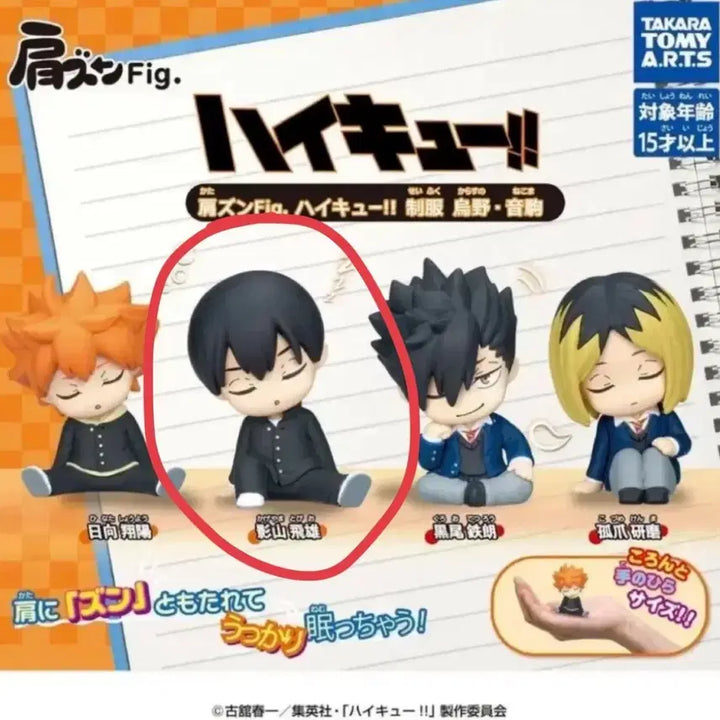 [BUNJANG] Haikyuu!! Kageyama Tobio Shoulder Hugger Figure (Sealed) / 하이큐 어깨쿵 카게야마 미개봉