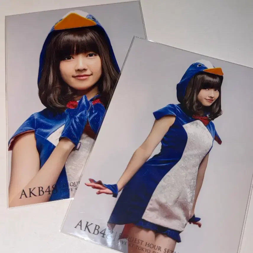 [BUNJANG] AKB48 Haruka Shimazaki Paruru "Hashire Penguin" Chekisa Set / akb48 시마자키 하루카 파루루 생사진 사진 하시레 펭귄 달려라 펭귄