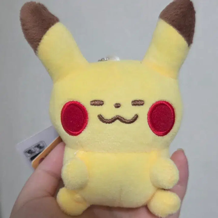[BUNJANG] Pokémon Kanahei Pikachu Plush / 포켓몬스터 카나헤이 피카츄