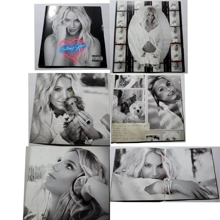 [BUNJANG] Britney Spears "Britney Jean" Deluxe Edition CD / 브리트니 스피어스(Britney Spears) "Britney Jean" 8집 시디 [팝송,CD,앨범]