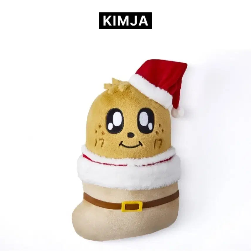 [BUNJANG] SEVENTEEN Mini Teen Plusy Doll Kimja / 세븐틴 미니틴 김자 plusy doll 양도합니다.