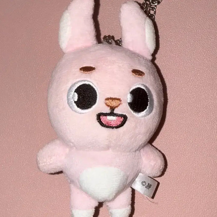 [BUNJANG] Day6 Young K Wonpil "Fil Fili" Japan MD Plush Doll / 데이식스 백참 필 필끼 일본MD 방 케 필 돈 원필 인형 원가양도