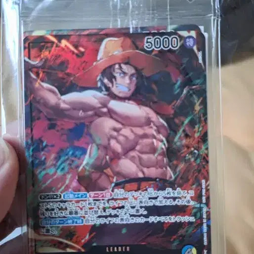 [BUNJANG] One Piece Card Monkey D. Luffy, Sabo, Ace / 원피스 카드 몽키 D 루피 사보 에이스 한정판