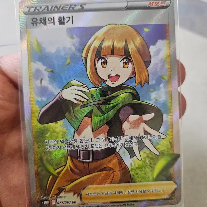 [BUNJANG] Pokemon Card Yu&