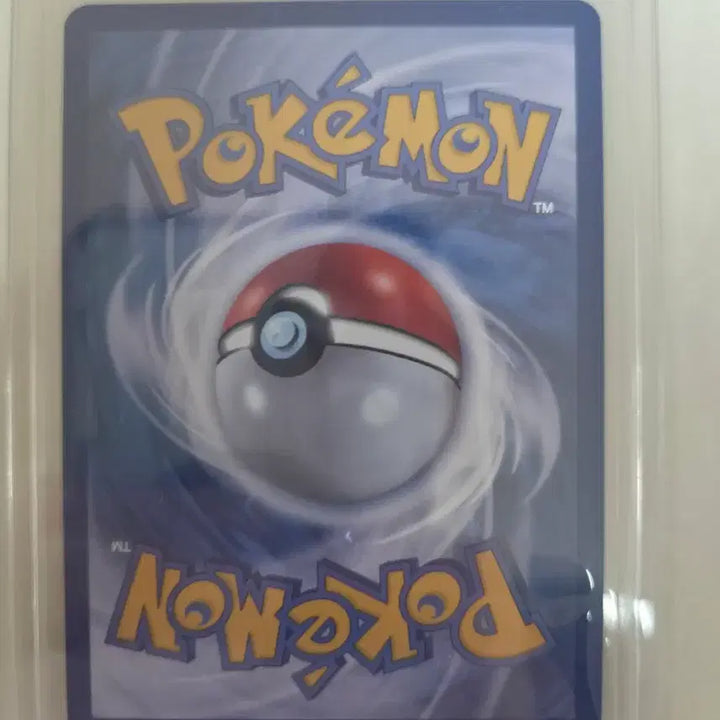 [BUNJANG] Pokemon Card Larvesta AR / 포켓몬 카드 게을로 AR