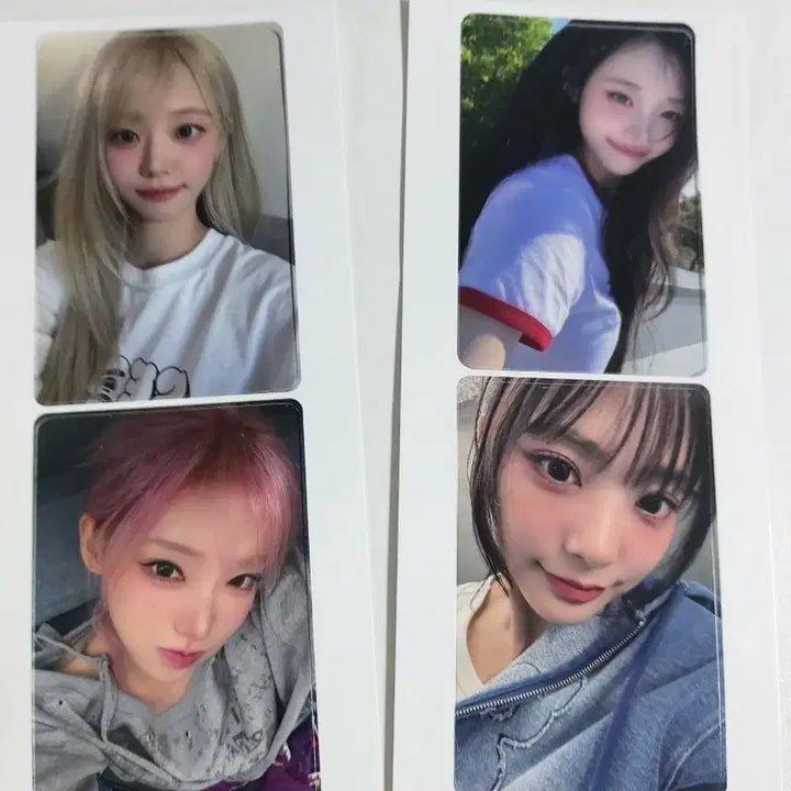 [BUNJANG] QWER Woori Bank Tintin Photocard Bundle Set / qwer 우리은행 틴틴 포토카드 판매해요