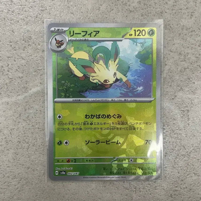 [BUNJANG] Pokemon Card Leafeon Monster Ball Holo / 포켓몬카드 리피아 몬스터볼 일판