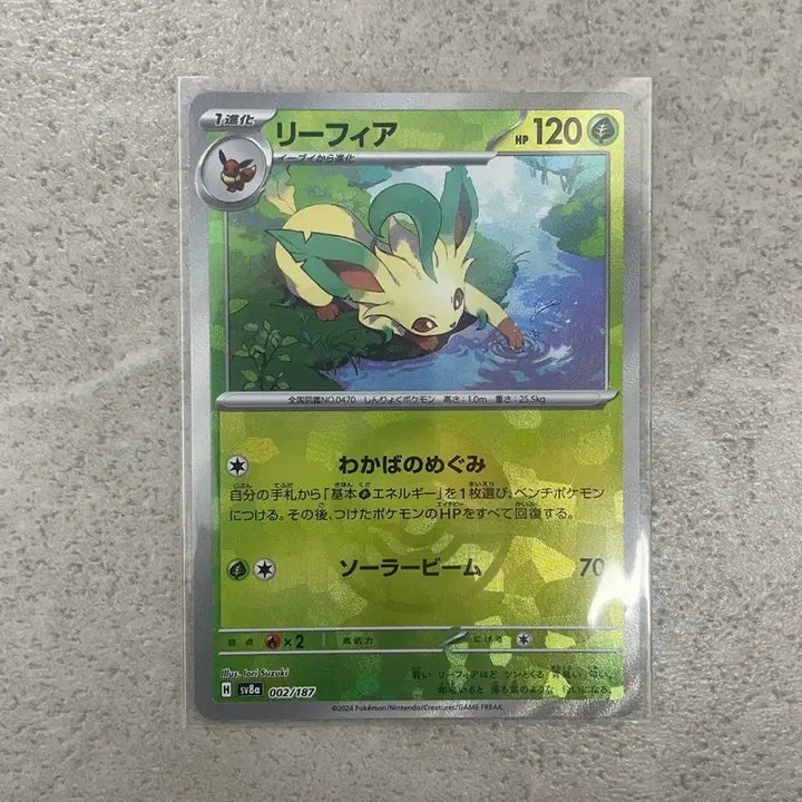 [BUNJANG] Pokemon Card Leafeon Monster Ball Holo / 포켓몬카드 리피아 몬스터볼 일판