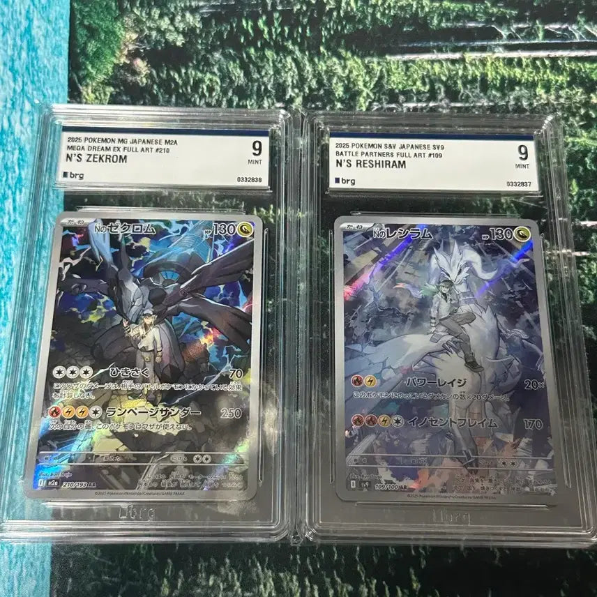 [BUNJANG] Reshiram &amp; Zekrom Dual Battle Tag Team Pokémon Card (Japanese) / n의 레시라무 제크로무 일판 brg9 연번
