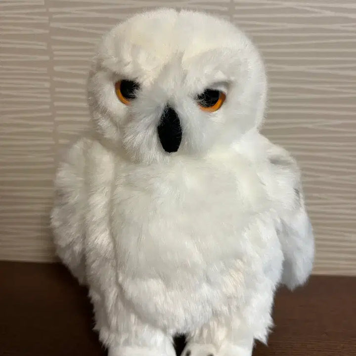 [BUNJANG] Harry Potter Hedwig Owl Plush / 해리포터 굿즈 헤드위그 부엉이 인형