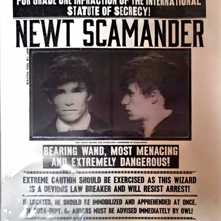 [BUNJANG] Fantastic Beasts Newt Scamander Holographic Postcard / 신비한 동물사전 뉴트 스캐맨더 홀로그램 엽서