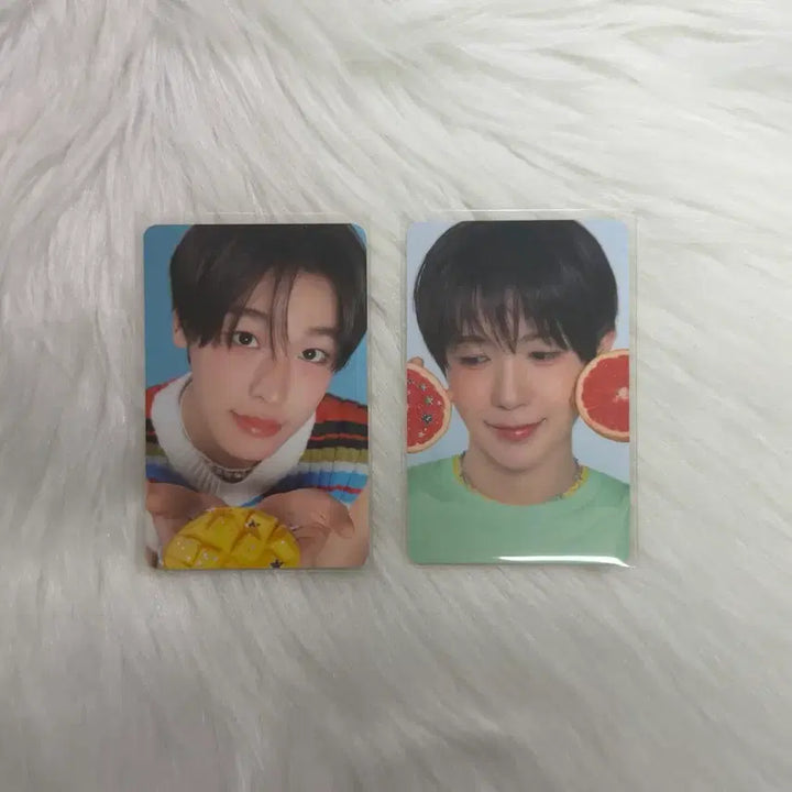 [BUNJANG] NCT WISH Riku &amp; Ryo Bundle Set Photocard, Poster, Cup Holder / 일괄) 엔시티 위시 리쿠 료 포카 메가커피 포토카드 포스터 컵홀더 nct wish