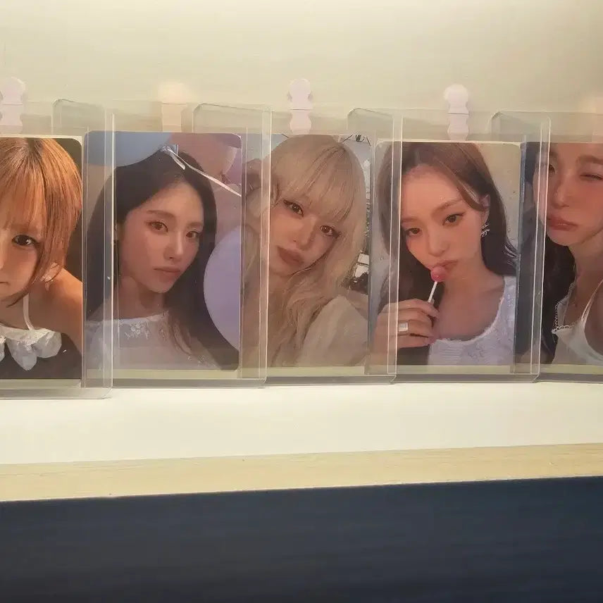[BUNJANG] fromis_9 Concert Membership Photocard Bundle Set / 프로미스나인 콘서트 멤버쉽 포카