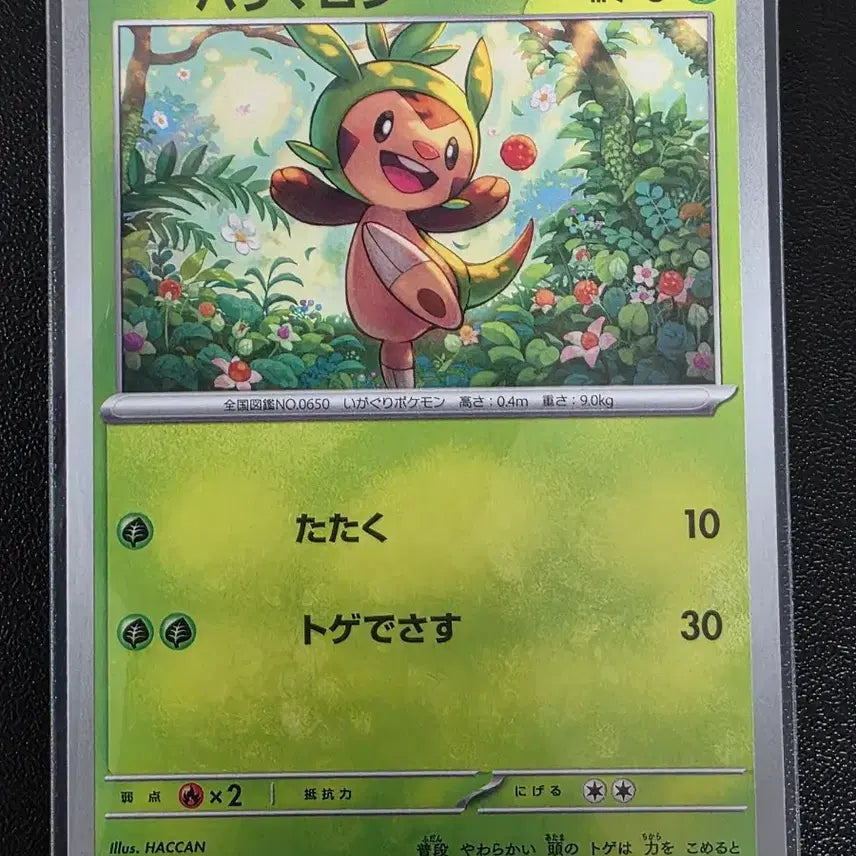 [BUNJANG] Pokemon Card Torchic C Ninja Spinner (Japanese) / 포켓몬 카드 도치마론 C 닌자 스피너 (일어판)