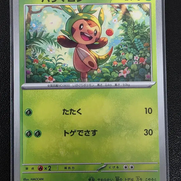 [BUNJANG] Pokemon Card Torchic C Ninja Spinner (Japanese) / 포켓몬 카드 도치마론 C 닌자 스피너 (일어판)