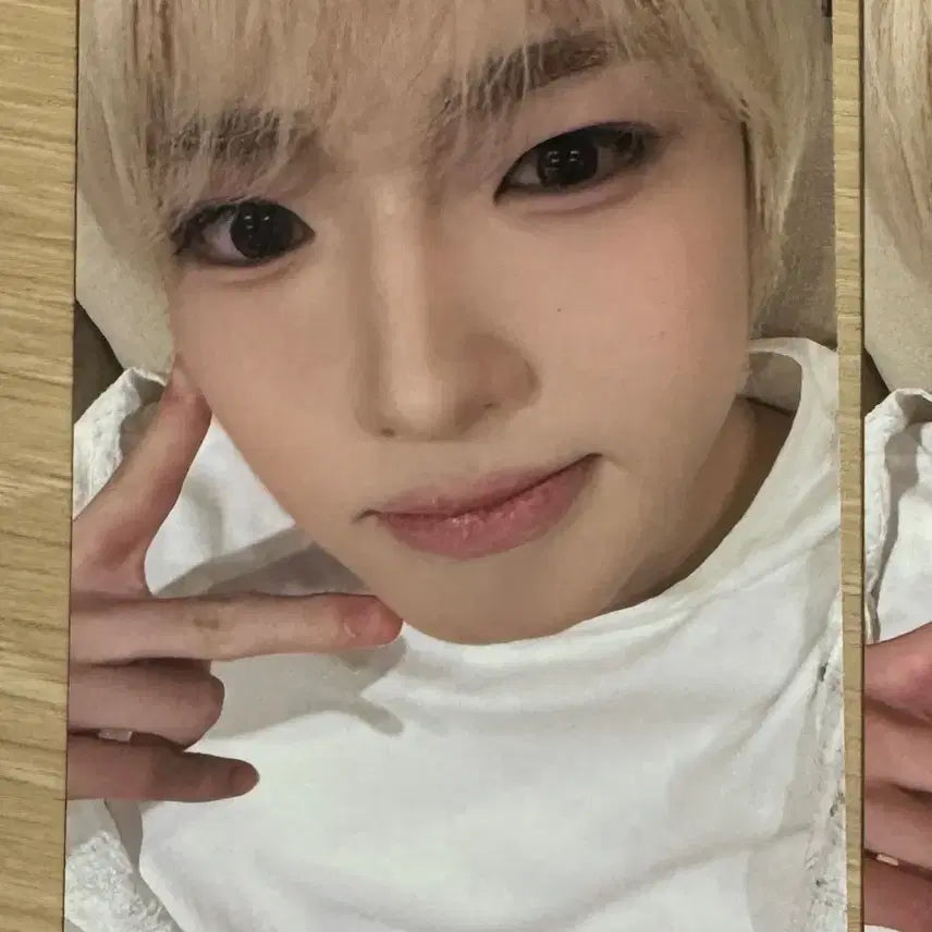 [BUNJANG] NCT WISH Sakuya Taiwan Kmonstar Lucky Draw Photocard / 엔시티 위시 사쿠야 대만 타이페이 케이몬스타 당첨자 포카