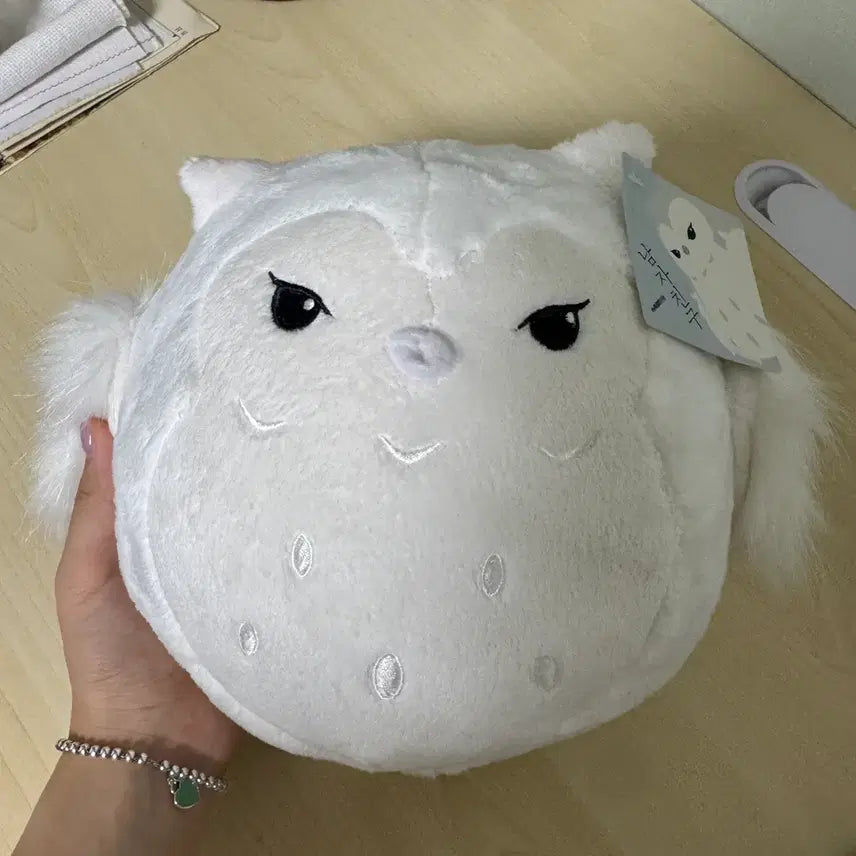 [BUNJANG] Encounter (tvN Drama) Official Merchandise Plush Toy / tvn 드라마 남자친구 공식 굿즈 인형