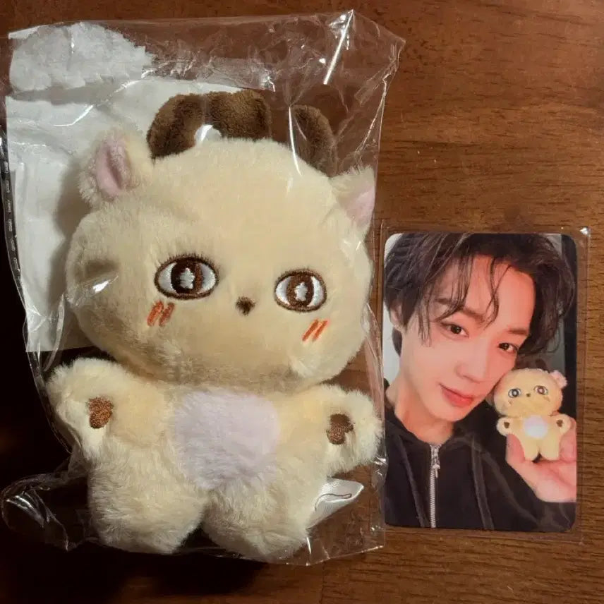 [BUNJANG] Park Jihoon &