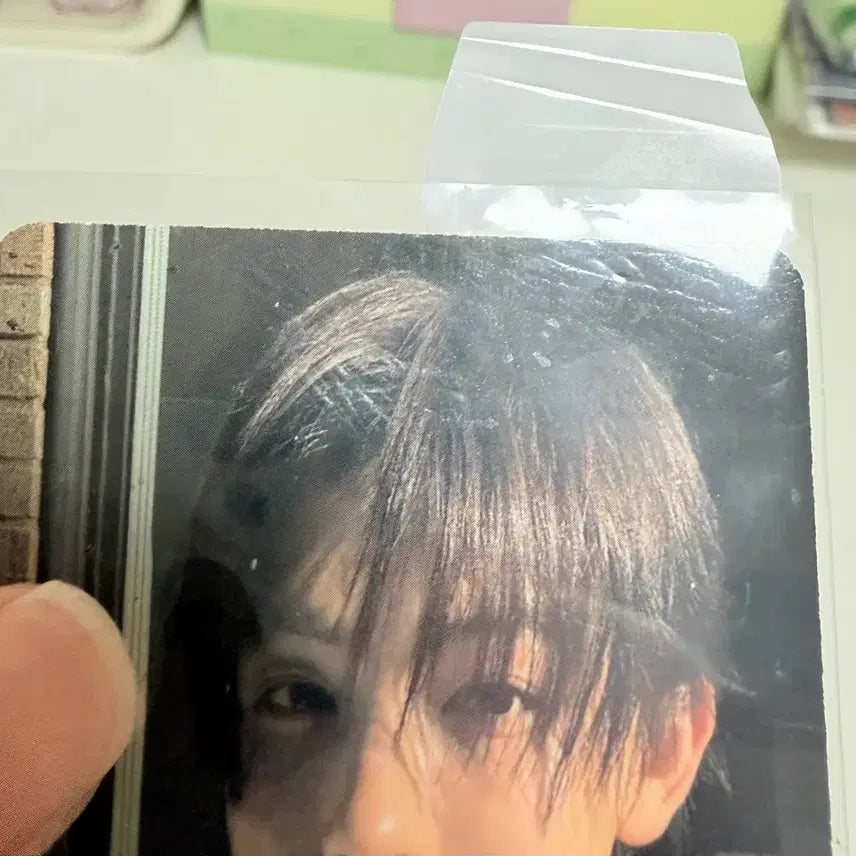 [BUNJANG] Cortis Sung Hyun Red Velvet Album Photocard / 코르티스 성현 레드레드 앨범 포카 팝니다!