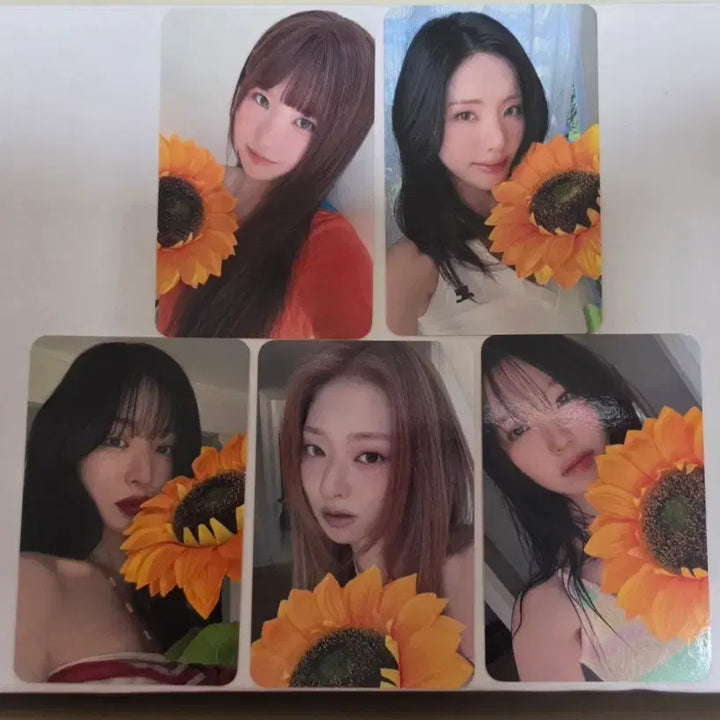 [BUNJANG] fromis_9 2nd Album Glow ME Beatrobo Pre-order POB Sunflower Version Photocard Set / 프로미스나인 2집 Glow ME 비트로드 프리오더 특전 해바라기버전 포토카드 5종 일괄