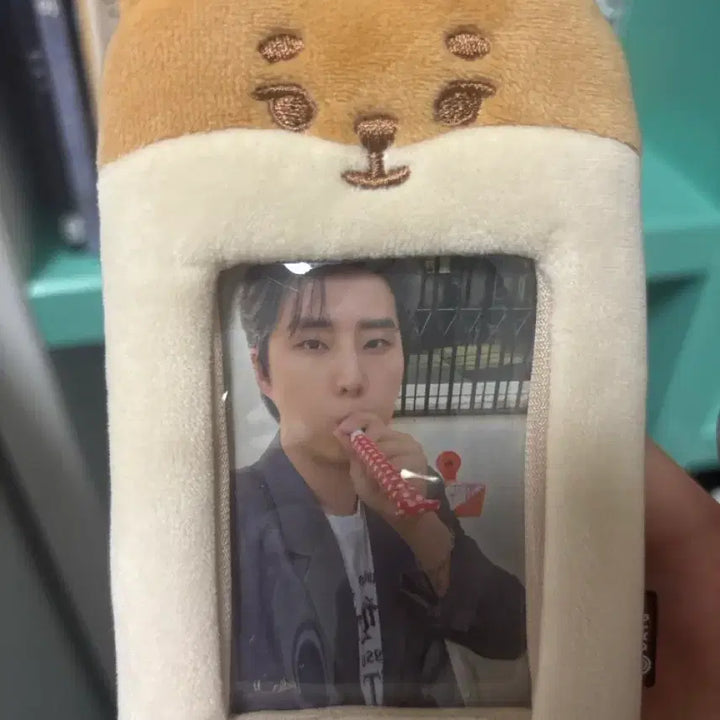 [BUNJANG] Day6 Young K Photocard Holder (Photocard Included) / (포카포함) 데이식스 영케이 포카홀더