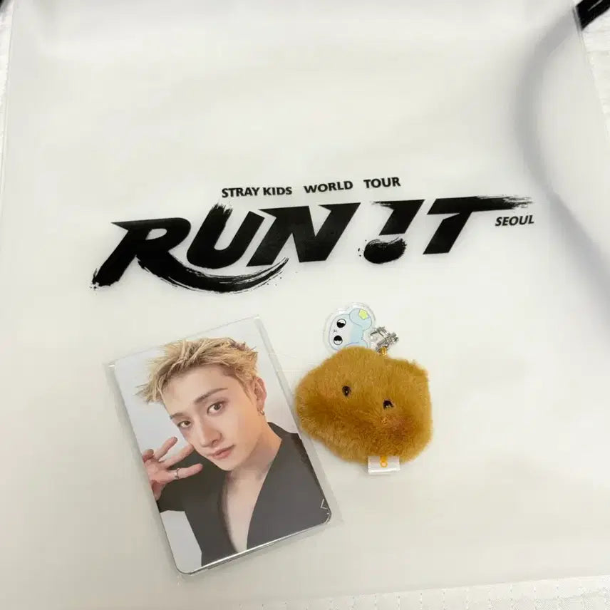 [BUNJANG] Stray Kids 3rd Day Concert Entry POB Photocard Bundle Set / 스트레이키즈 7/29 3일차 콘서트 입장 특전