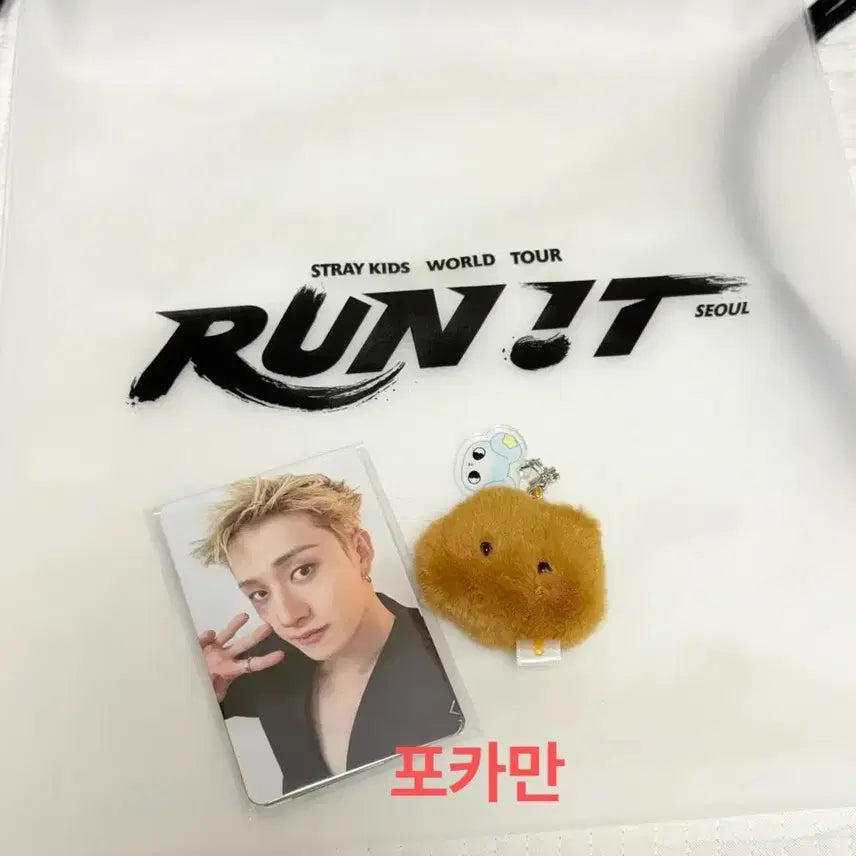 [BUNJANG] Stray Kids 3rd Day Concert Entry POB Photocard Bundle Set / 스트레이키즈 7/29 3일차 콘서트 입장 특전
