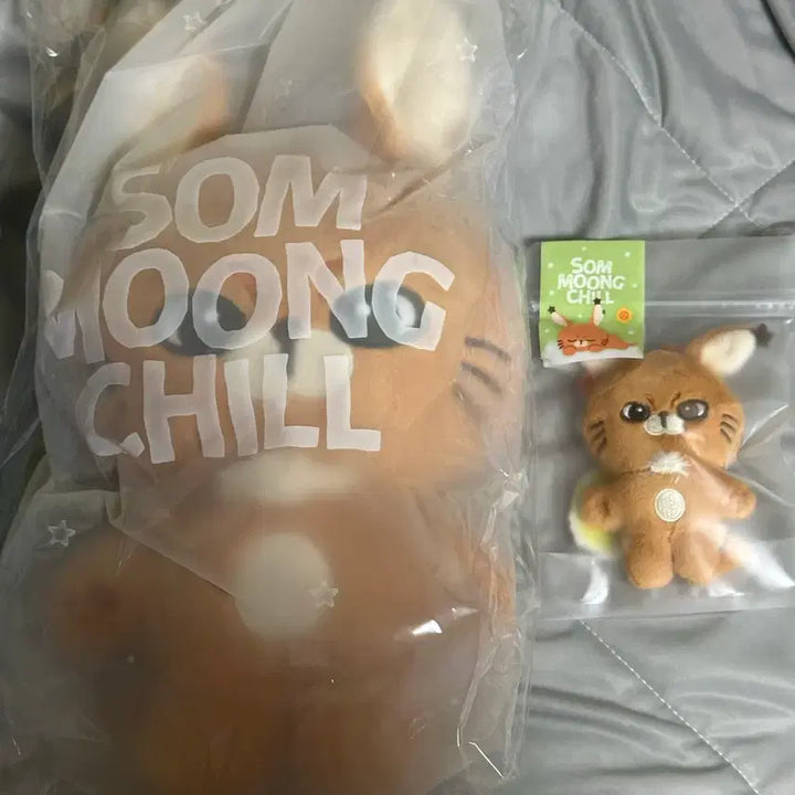 [BUNJANG] NCT 127 Johnny Bundle Set Big Cotton Doll Johnny Doll / 원가이하 일괄) Nct 엔시티 127 쟈니 - 빅뭉칠 솜뭉칠 쟈니칼
