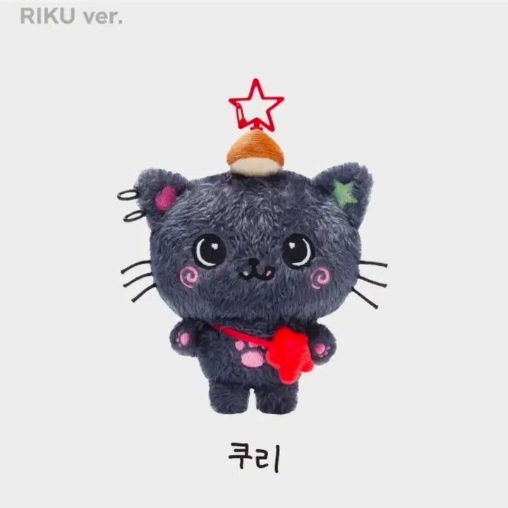 [BUNJANG] NCT WISH Riku Wish Doll Sealed / 미개봉 엔시티위시 쿠리 위시돌 리쿠