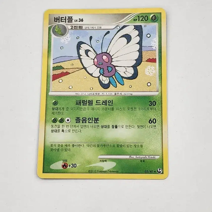 [BUNJANG] Pokemon Butterfree DP Ancient Card / 포켓몬카드 버터플 dp 고대카드