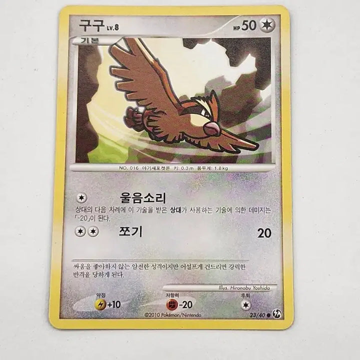 [BUNJANG] Pokemon Card Pidgey DP Ancient Card / 포켓몬카드 구구 dp 고대카드