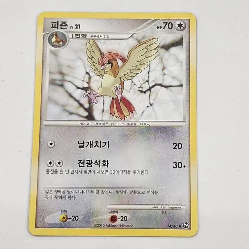[BUNJANG] Pokemon Card Pidgeot DP Ancient Card / 포켓몬카드 피죤 dp 고대카드