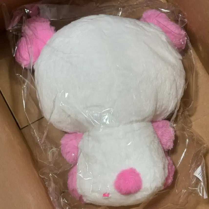 [BUNJANG] NCT WISH Sakurya 30cm Wish Doll / nct wish 엔시티 위시 사쿠야 30cm 위시돌 팡이