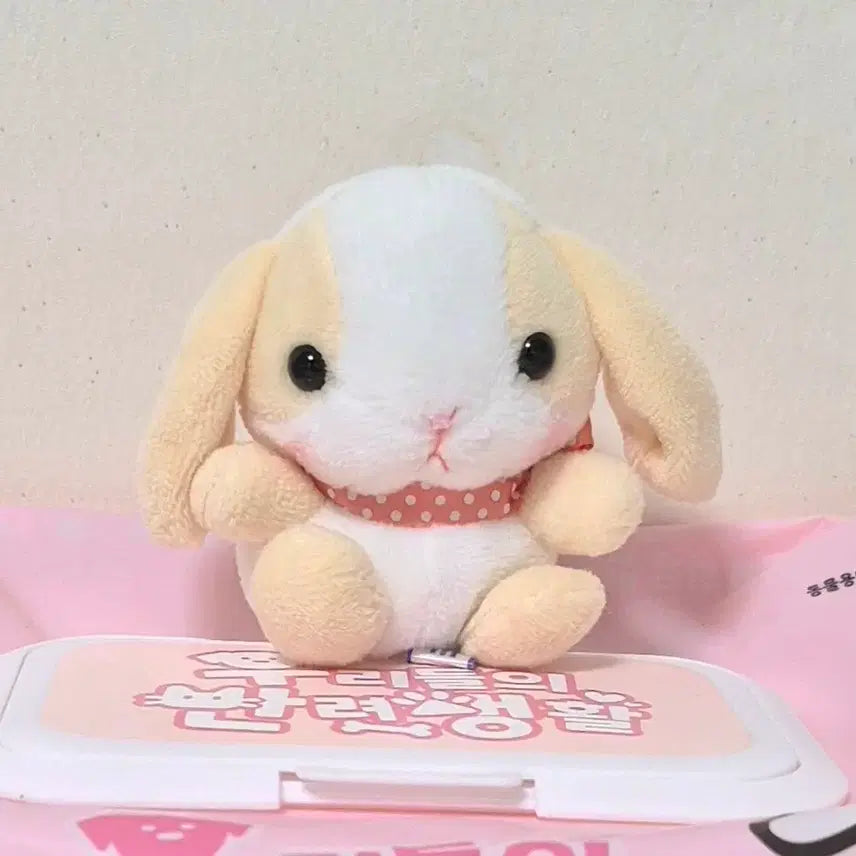 [BUNJANG] Amuse Potteousa Beige Loppy Finger Doll Keychain / 고전 빈티지 어뮤즈 아뮤즈 포테우사 베이지 롯삐 손가락 인형 키링