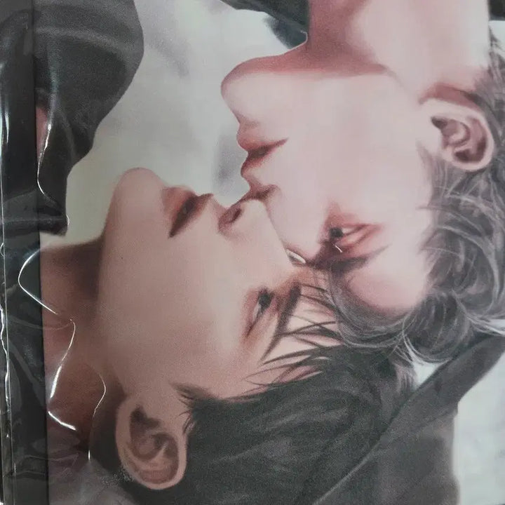 [BUNJANG] Audio Comics Illustration Suede Poster L-Holder Fashion Ilay Jung Tae-ui / 오디오코믹스 일러스트 스웨이드 포스터 L홀더 패션 정태의 일레이